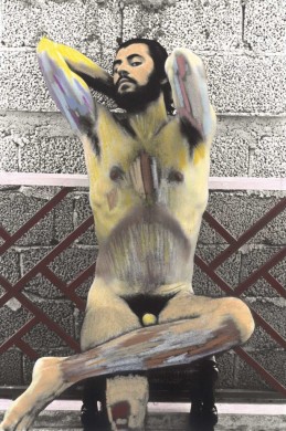 Body Works -" Self" Series