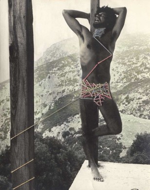 Body Works -" Self" Series