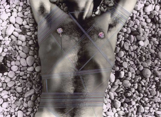 Body Works -" Self" Series