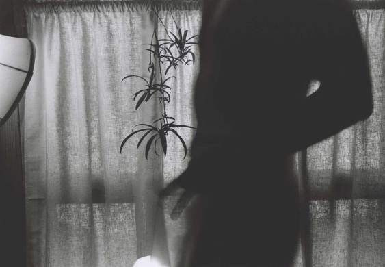 Body Works -" Self" Series