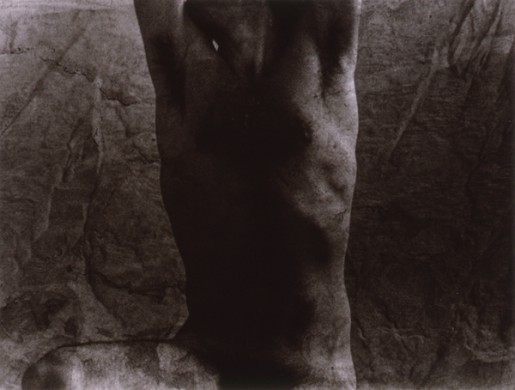 Body Works -" Self" Series